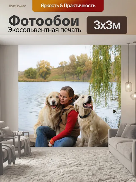 Фотообои Собака