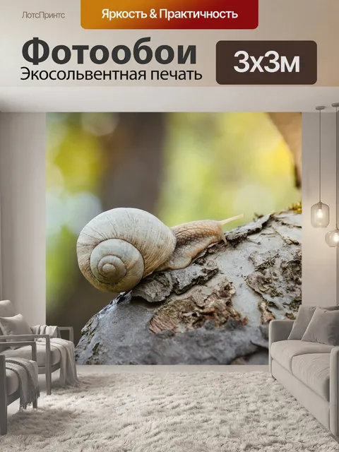 Фотообои Улитка