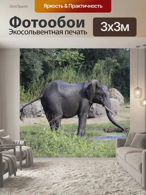 Фотообои Дисней