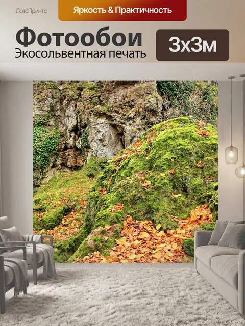 Фотообои Лес
