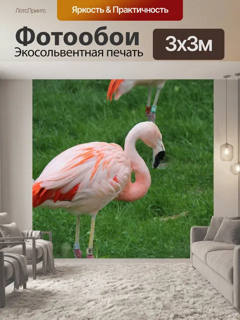 Фотообои Розовый