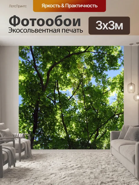 Фотообои Деревья