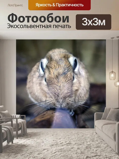Фотообои Зверь