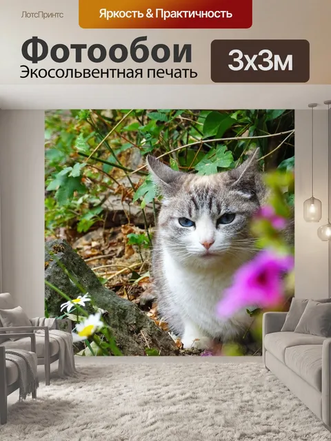 Фотообои Кошка