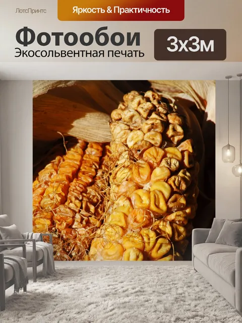 Фотообои сморщенные зерна кукурузы в початках