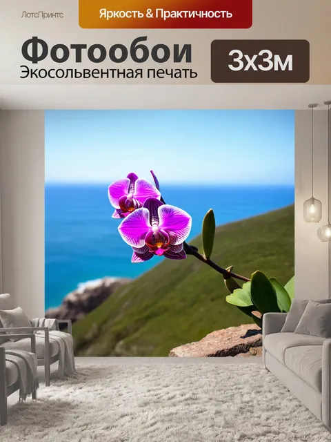 Фотообои орхидея, растущая на краю крутого утеса, видно море на горизонте
