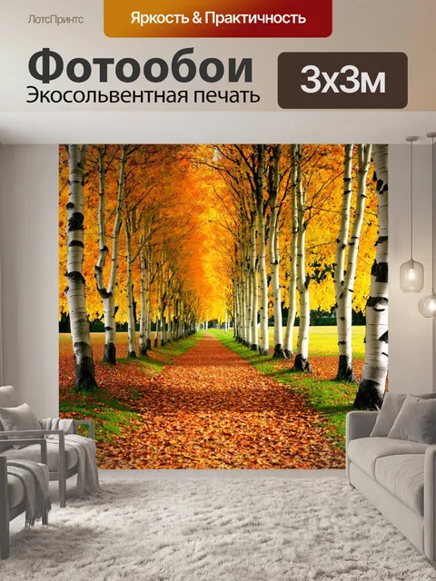 Фотообои осень: прогулка по березовой аллее, листья шуршат под ногами
