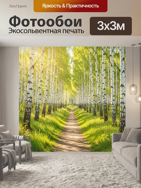 Фотообои Берёзовая аллея с тропинкой