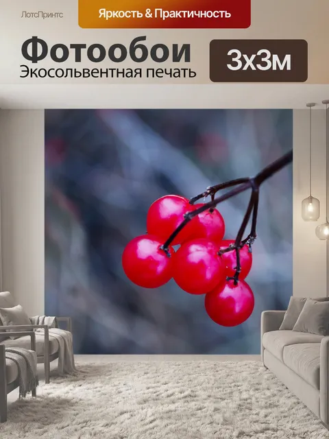 Фотообои Красные ягоды