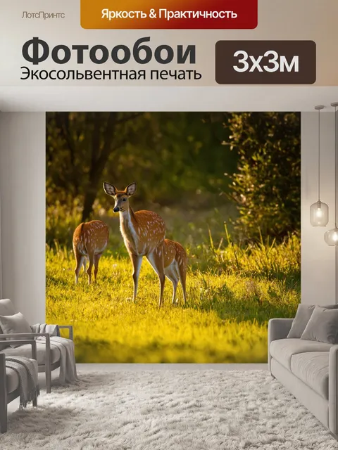 Фотообои утро, тихий заповедник с многообразием дикой природы, светит мягкий утренний свет, создавая гармонию