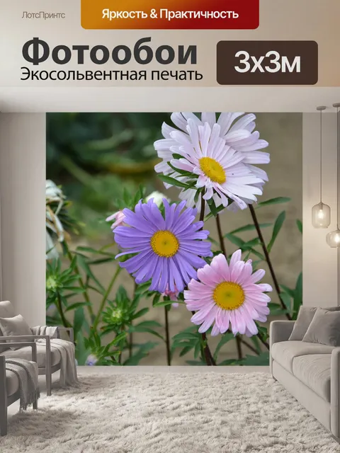Фотообои Ромашки