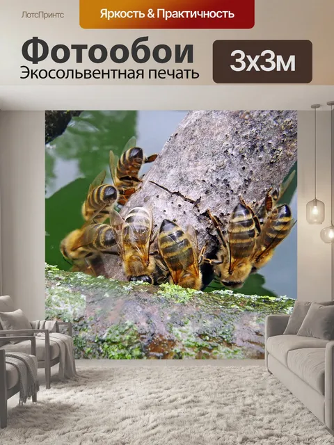 Фотообои Природа