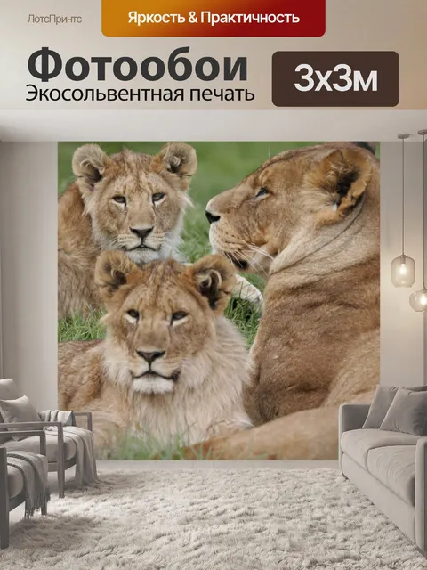 Фотообои Львица