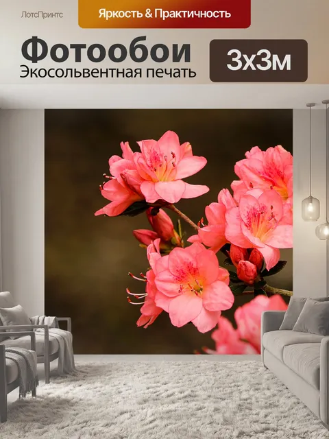 Фотообои Розовые азалии