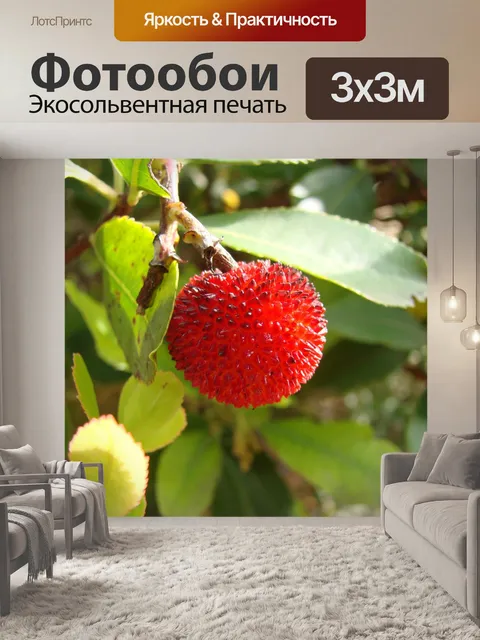 Фотообои Экзотические фрукты