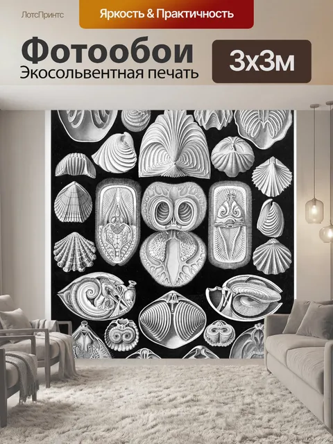 Фотообои Старинный старый Эрнст Геккель