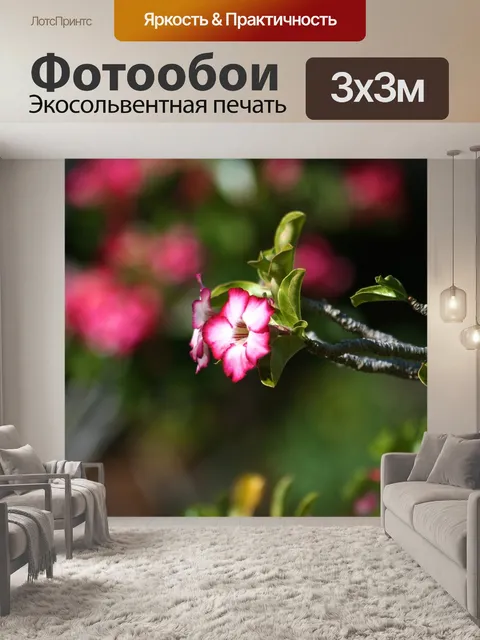 Фотообои Цветы