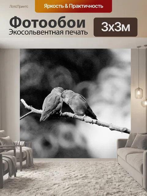 Фотообои Черное и белое