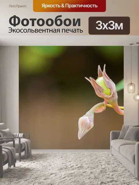 Фотообои Цветок