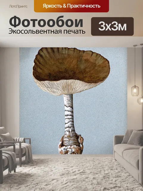 Фотообои Винтажная иллюстрация чемпиона грибов