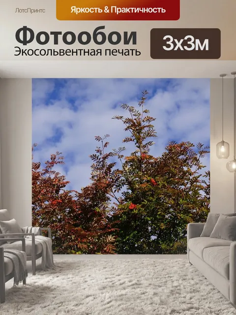 Фотообои Осень