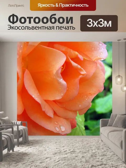 Фотообои Розовый