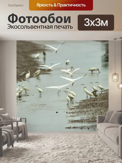 Фотообои Белый аист