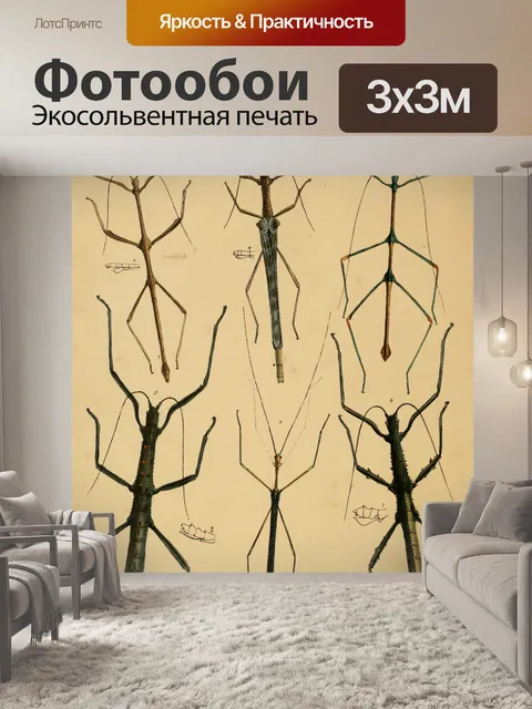 Фотообои Винтажное искусство иллюстрации насекомы