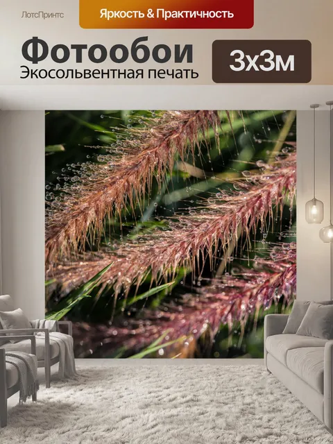 Фотообои Фонтанная трава, держащая воду