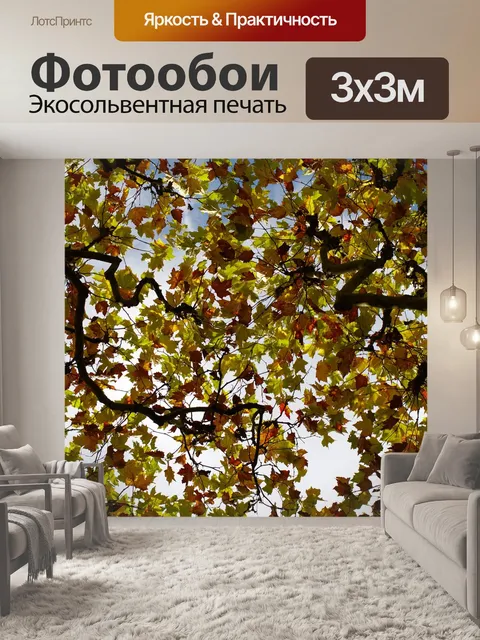 Фотообои Клен