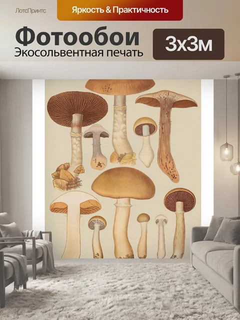 Фотообои Грибы-чемпионы винтажного искусства