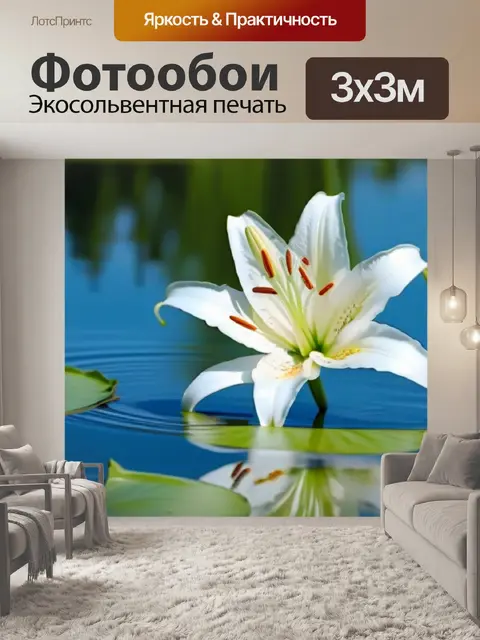 Фотообои красивая белая лилия на поверхности озера