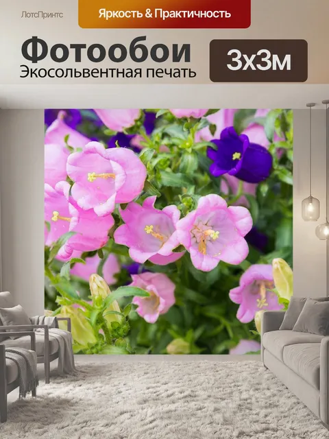 Фотообои Тайвань