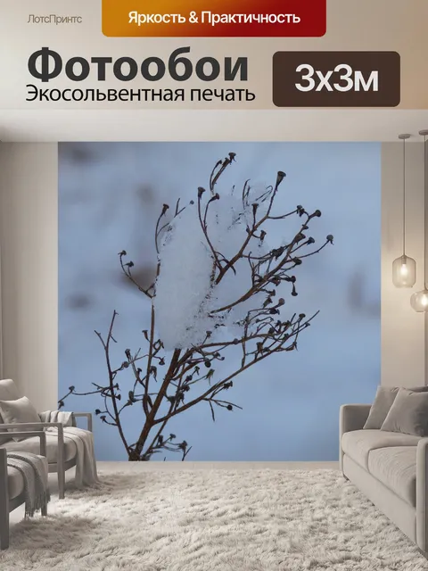 Фотообои Зима