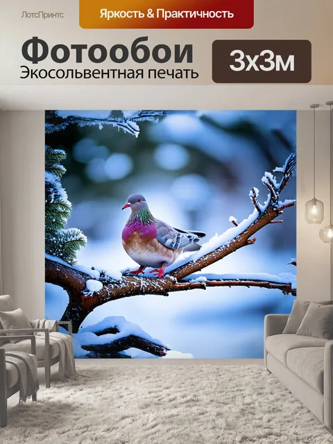 Фотообои холодный голубь сидит на снежной ветке