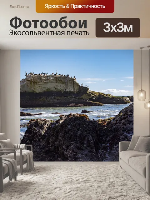 Фотообои Пеликан Рок