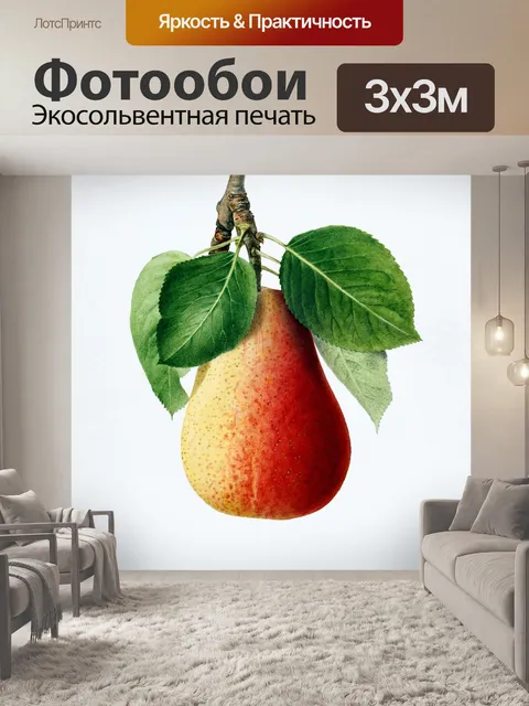 Фотообои Иллюстрация старинного искусства груши