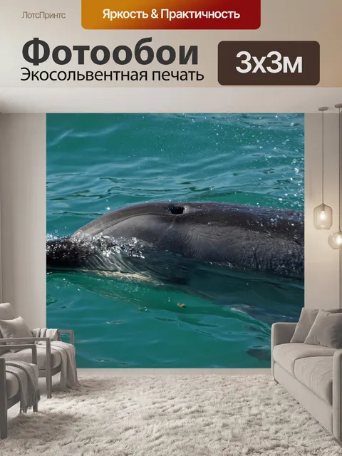 Фотообои Дельфин