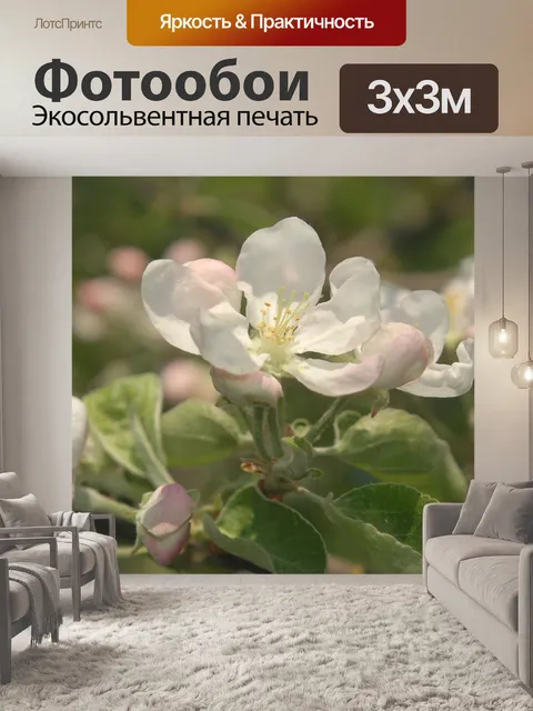 Фотообои Яблоневый цвет