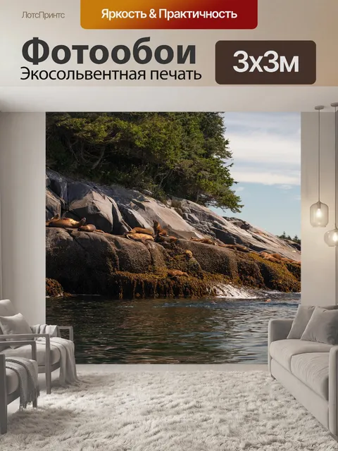 Фотообои Морские львы