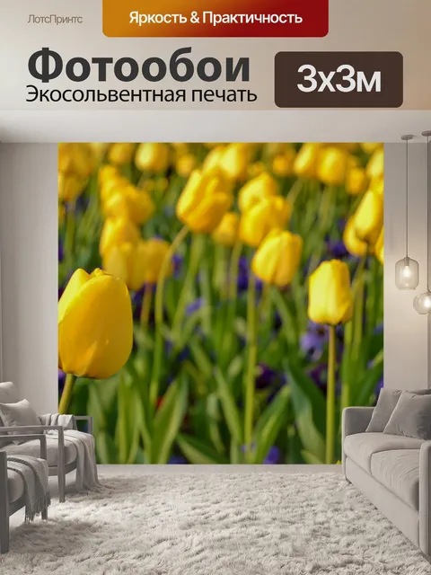 Фотообои Желтые тюльпаны