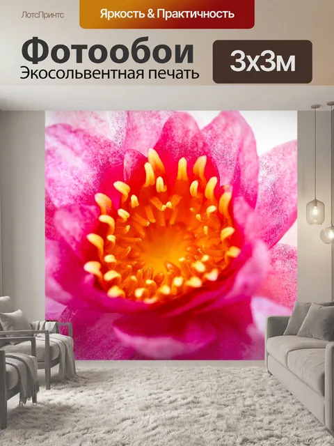 Фотообои Цветок лотоса