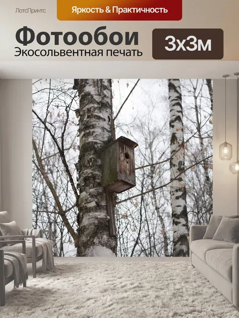 Фотообои Лес