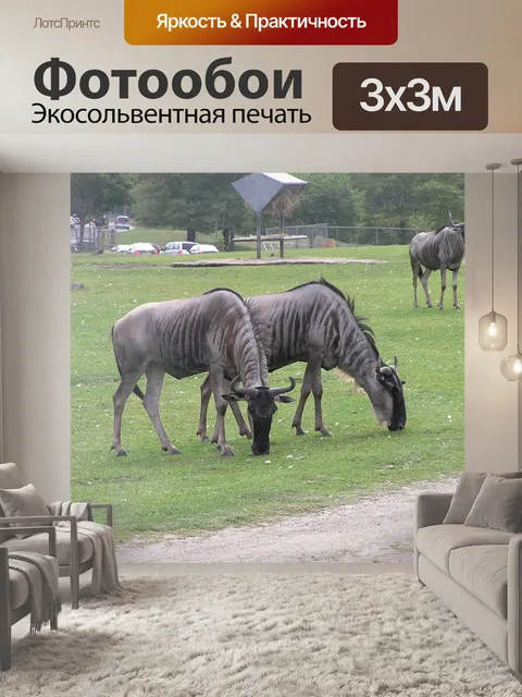 Фотообои Дикий зверь