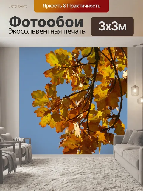 Фотообои Дубовые листья