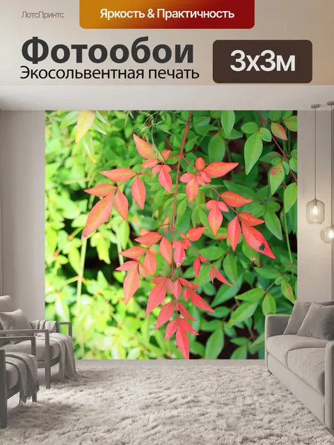Фотообои Святой бамбука