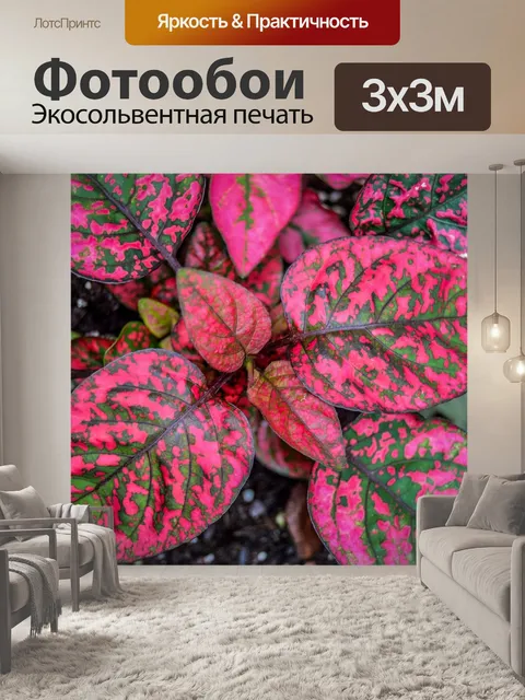 Фотообои Цветок