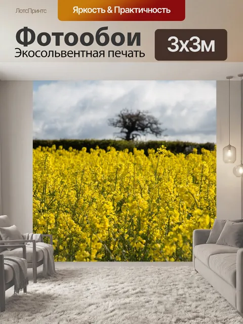 Фотообои Область желтого рапса