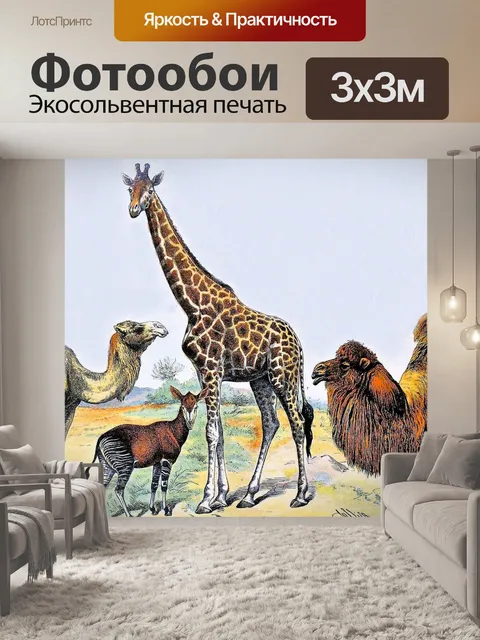 Фотообои Саванна на празднике - 1