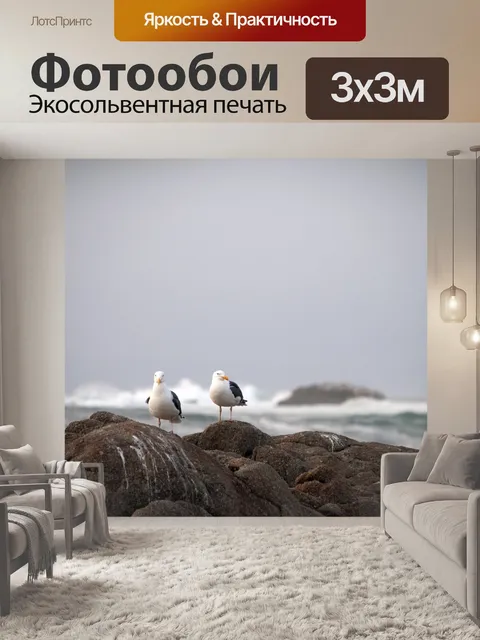 Фотообои Две чайки и море